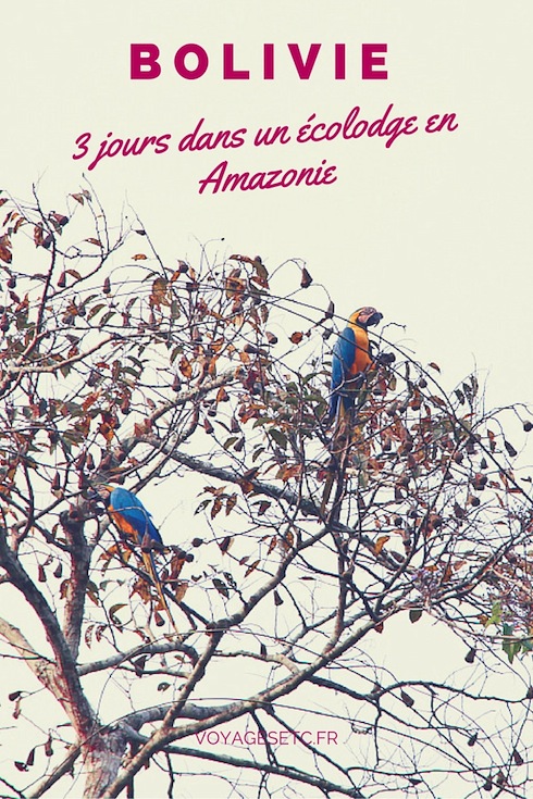 Durant mon tour du monde j'ai passé 3 jours dans un écolodge au coeur de la forêt amazonienne en Bolivie. Une expérience inoubliable au coeur de la nature.