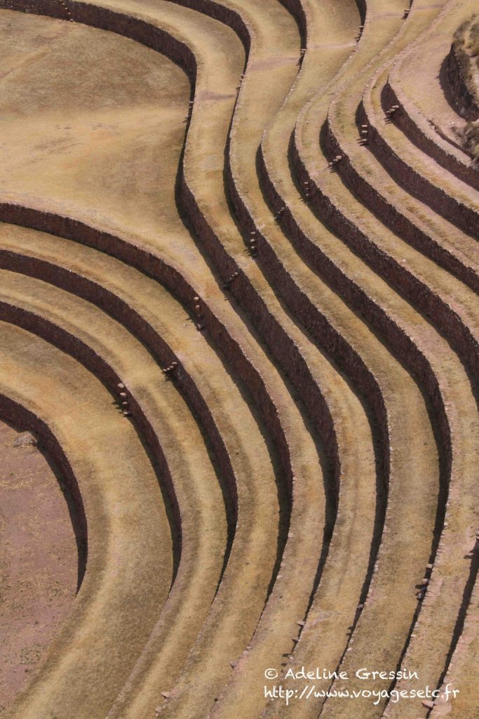 Les courbes de Moray