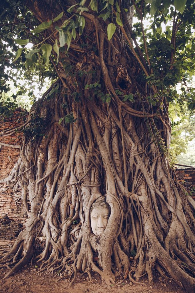 Visiter Ayutthaya et passer par le Wat Mahathat