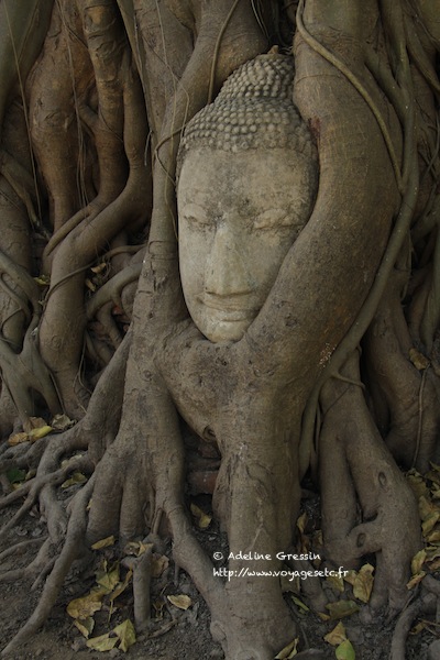 Ayutthaya decembre 2011
