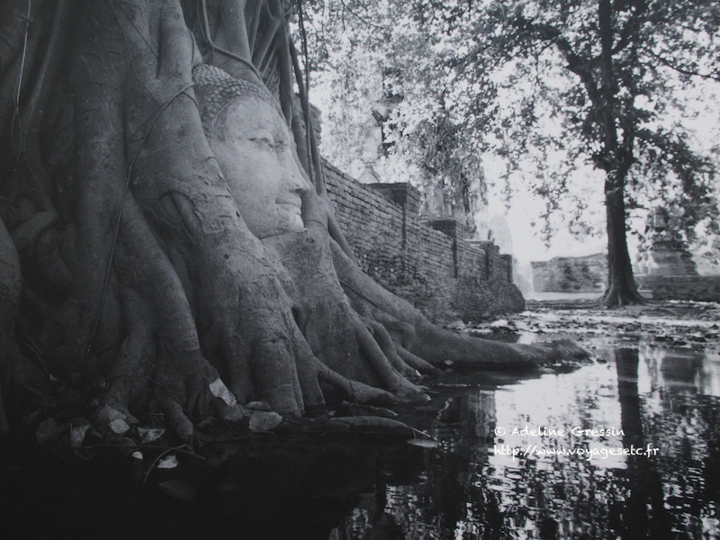 Ayutthaya inondations1