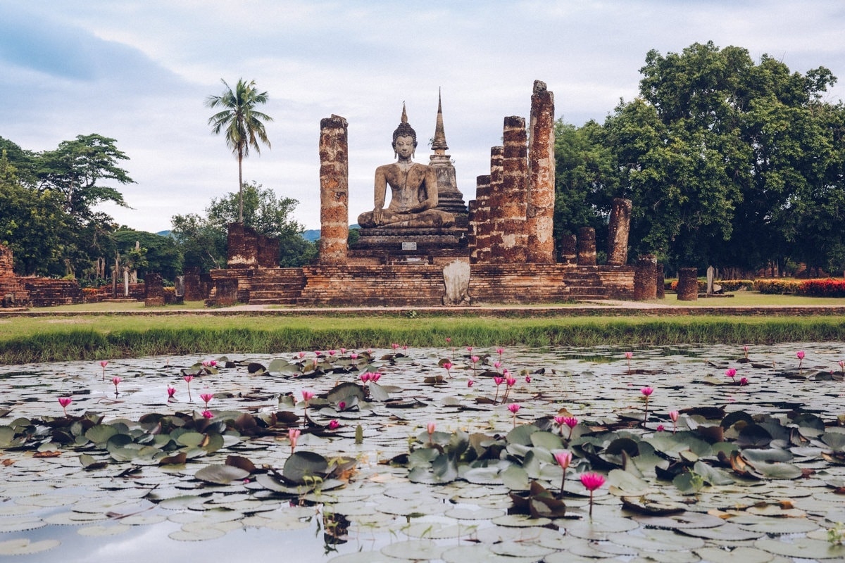 Sukhothai - Wat Mahathat nenuphars