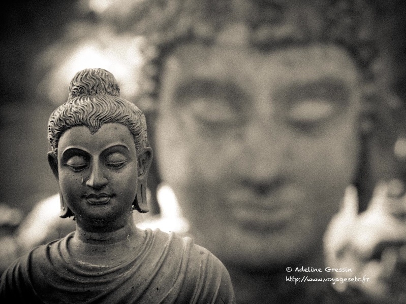 Wat Umong – Bouddhas2