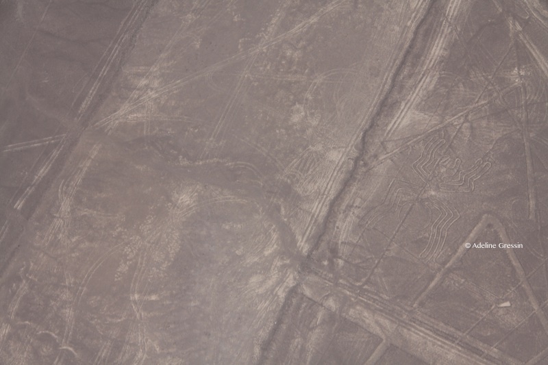 Lignes de Nazca – araignee