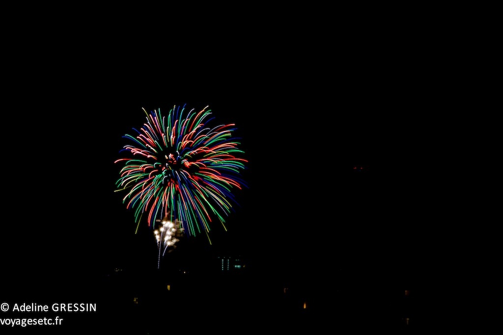 Feu d'artifice Paris 2012