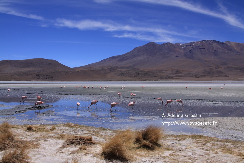 Lagunas de Bolivia