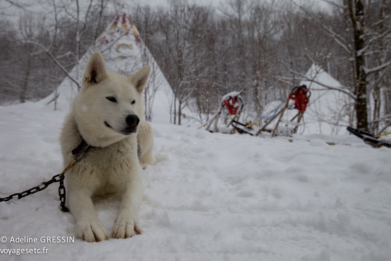 ou partir en hiver - Quebec