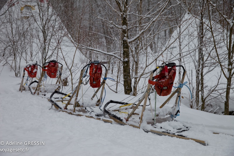 traineau à chiens quebec