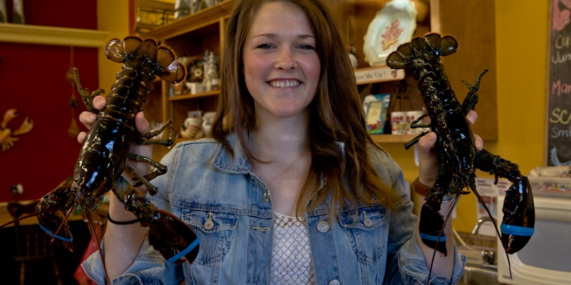 Foutu homards Nouveau brunswick