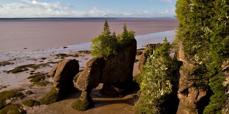 Hopewell Rocks à marée basse