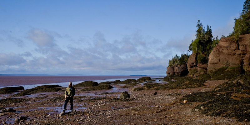 Le pirate à Hopewell Rocks, nouveau Brunswick