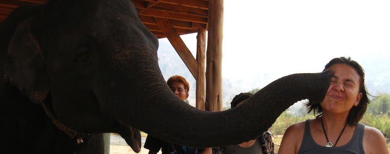 Thailande - Elephant nature park
