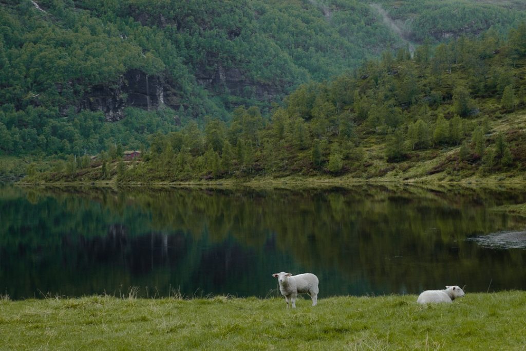 Randonnée dans la vallée d'Aurland dans les fjords en Norvège