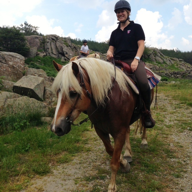 Randonnée à cheval dans les Apennins