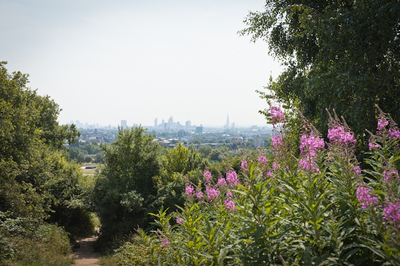 Londres - vue sur la city de parliament hill