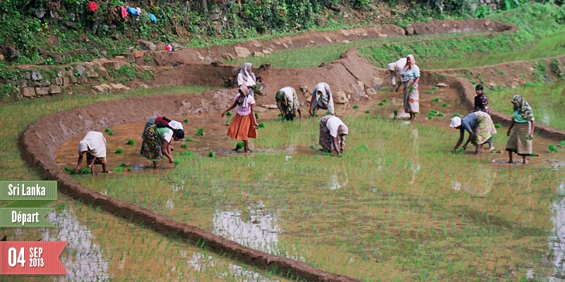 Header Sri Lanka