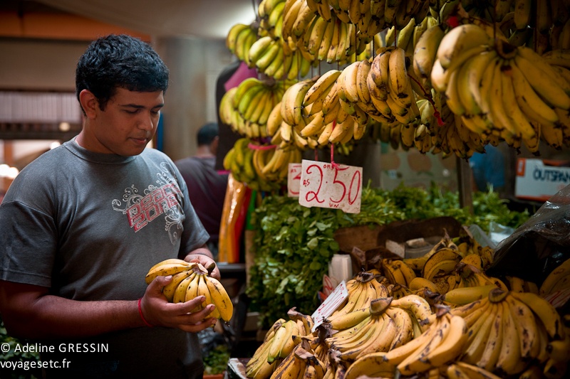 Marché de l'ile Maurice - Monsieur bananes