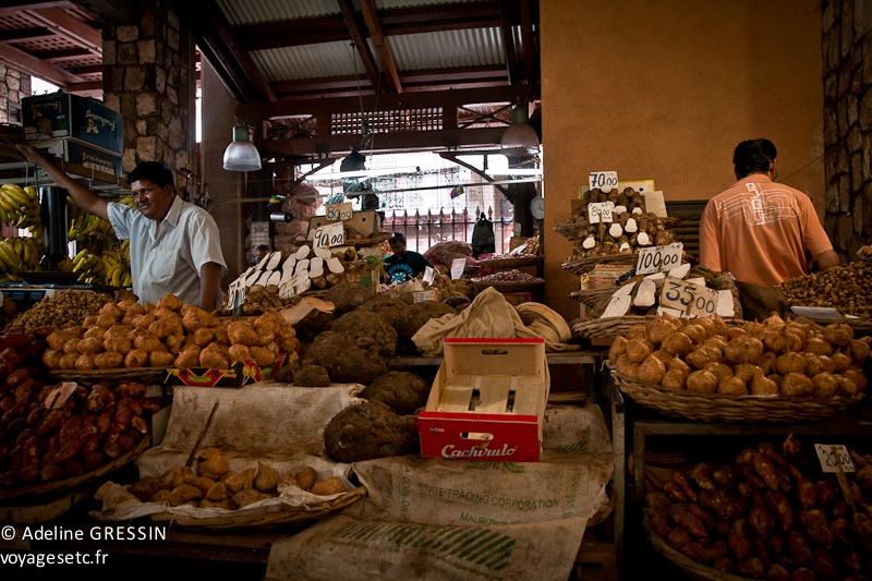 Marché de l'ile Maurice - Monsieur radis