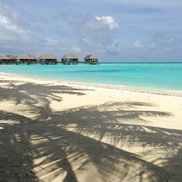 Plage du club med Kani - à l'ombre des palmiers