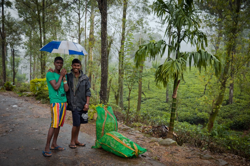 Prendre le train sri lanka - Les cueilleurs
