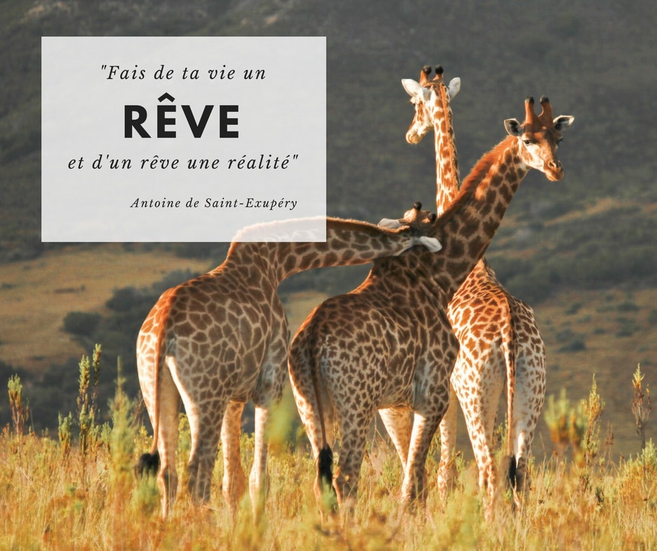 Fais de ta vie un rêve et d'un rêve une réalité