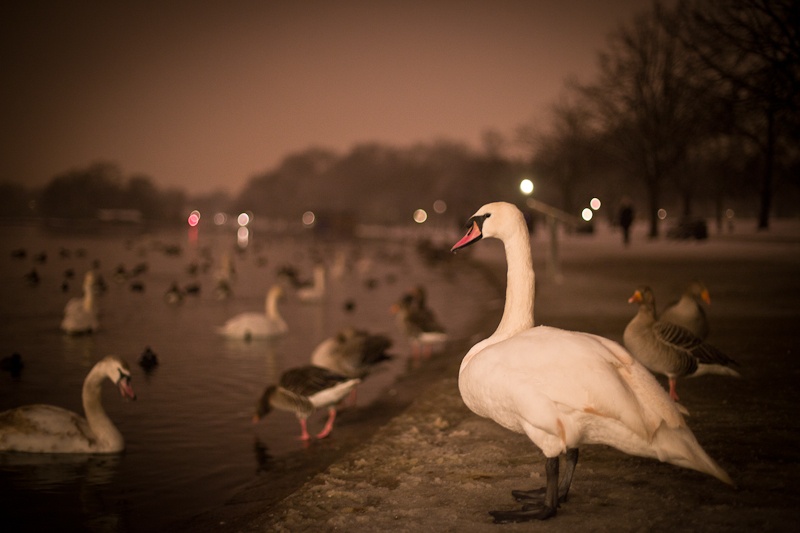 Retrospective 2013 - Londres