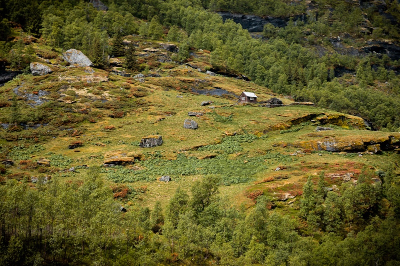 Retrospective 2013 - Ferme d'été Norvège