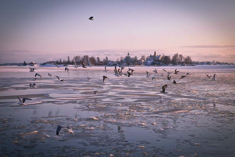 Une semaine en Finlande - coucher de soleil sur Helsinki