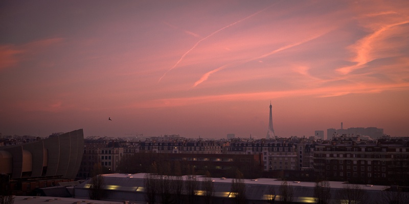 La tour Eiffel et l'oiseau- Paris
