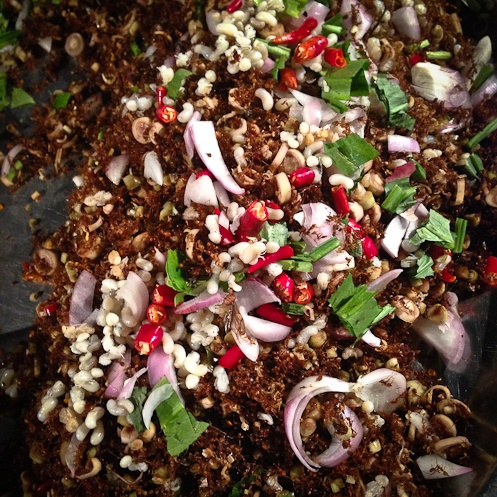 Phimai - salade d'insectes