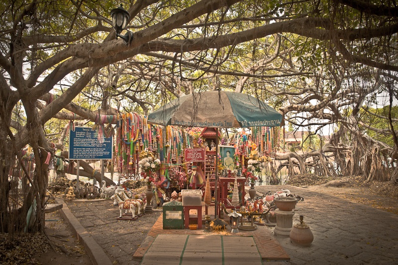 Phimai - sous le banian tree