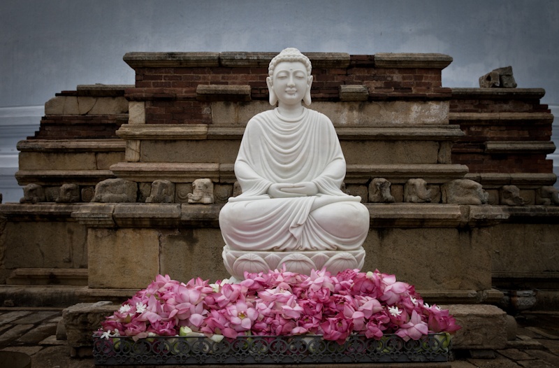 Bouddah fleuri, Anuradhapura - Sri Lanka