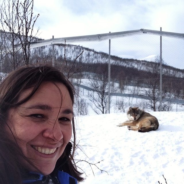 Selfie avec un loup polar park norvege