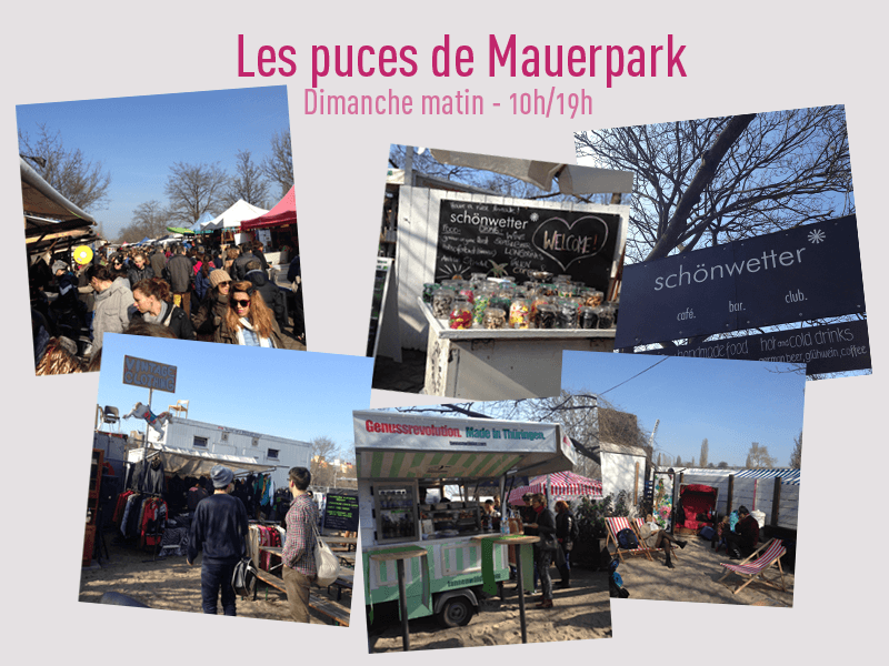 Vivre à Berlin les puces de prenzlauer berg 3