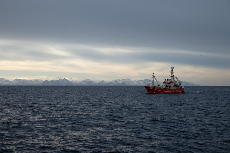 Norvege Safari des mers lofoten - à la pêche