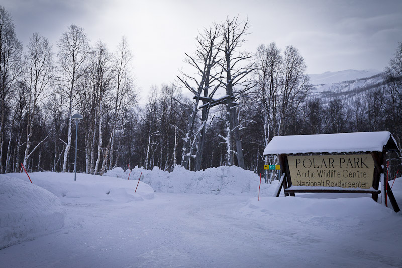 Polar Park Norvege - Polar park