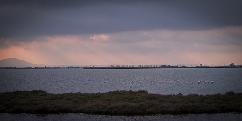 Ecotourisme en catalogne - Reserve ornothologique du delta de l'Ebre