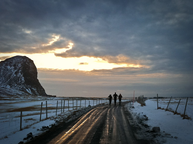 Surfe au-dessus du cercle ploaire Norvège Unstad - Pingouins en route vers la mer