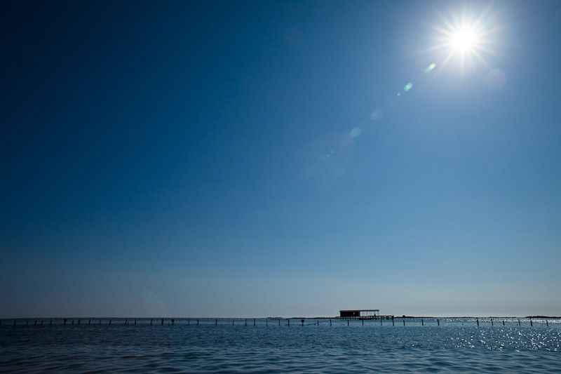 Route gastronomique en catalogne - la baie des Alfacs terres de l'ebre