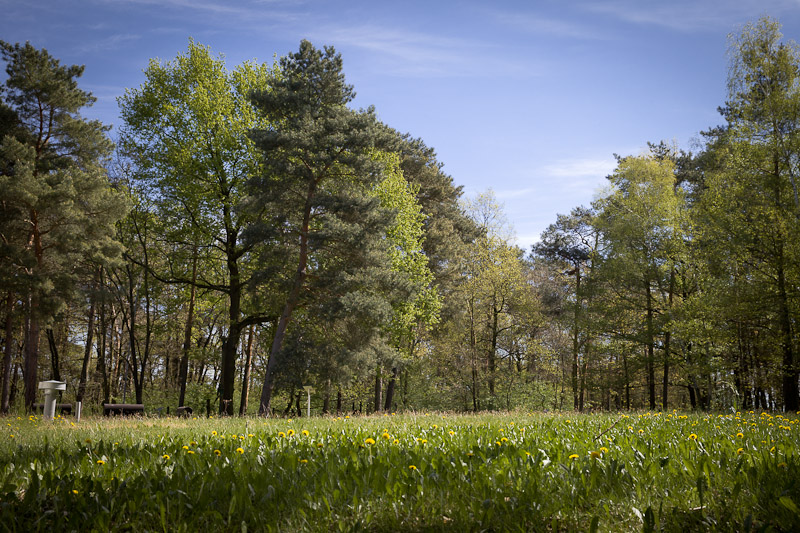 Visiter un bunker - Prairie près du bunker Leipzig