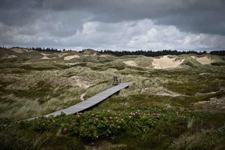 Sur le chemin de la plage de Nebel, Amrun mer des wadden allemagne
