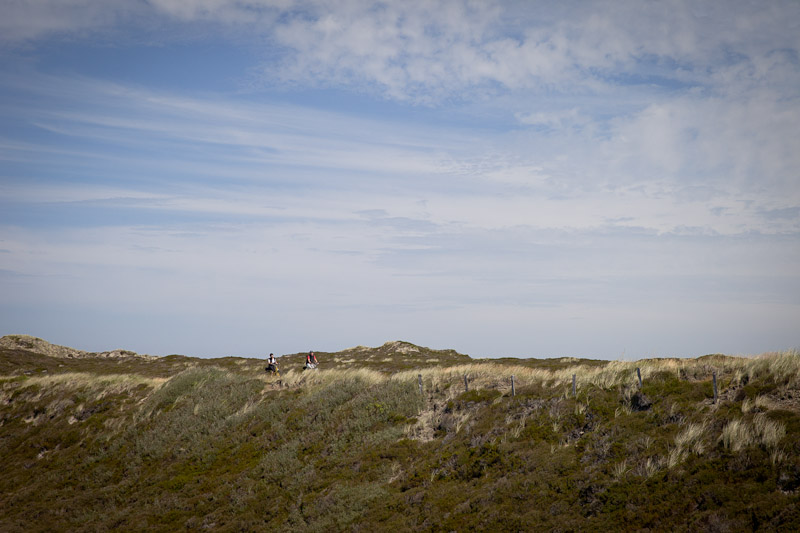 Mer des Wadden - Vélo dans les dunes