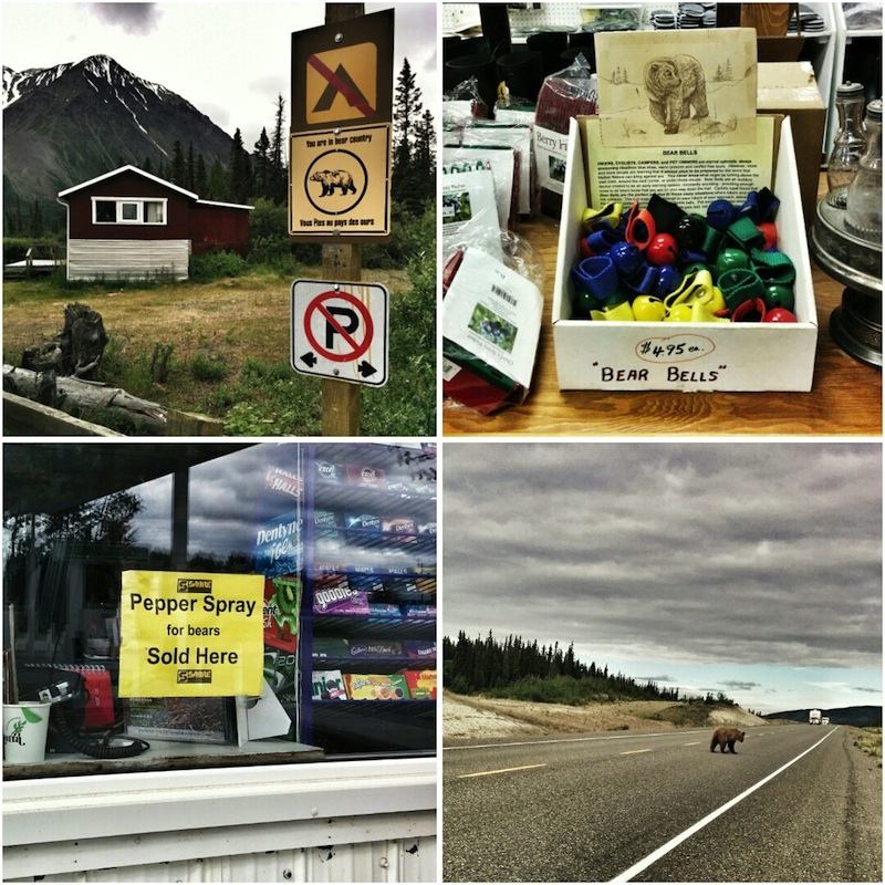 Montage ours yukon