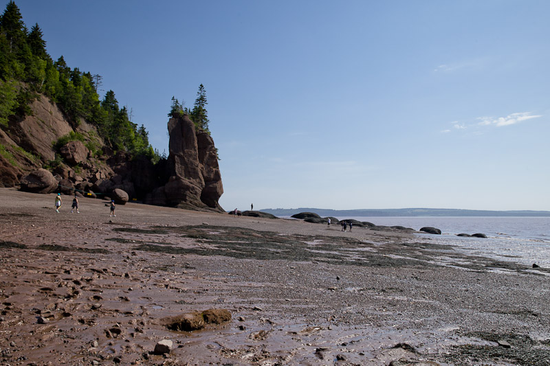 Nouveau Brunswick – baie de fundy marée basse