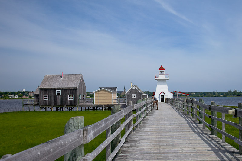 Nouveau Brunswick - recherche du homard bleu bouctouche