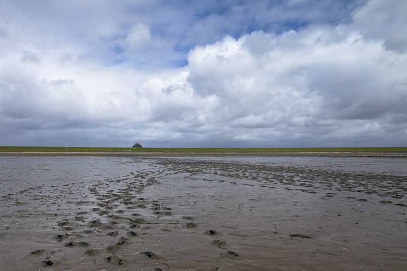 Dans la mer des wadden les pieds dans la boue à Sylt