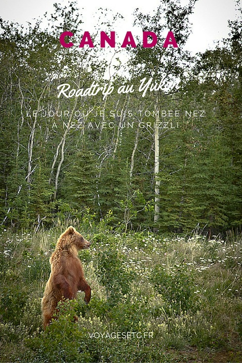 roadtrip au yukon
