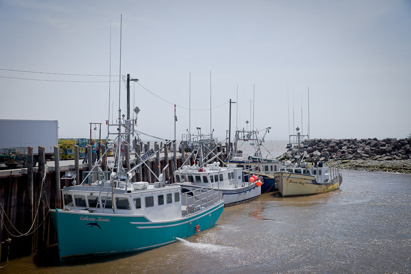 Nouveau Brunswick - Dans le port d'Alma
