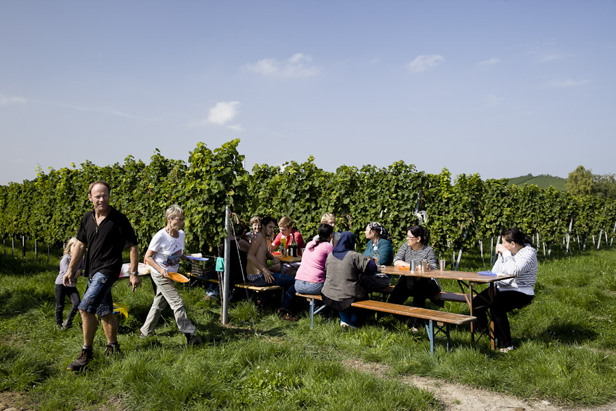 Vendangeurs Bade wurtemberg