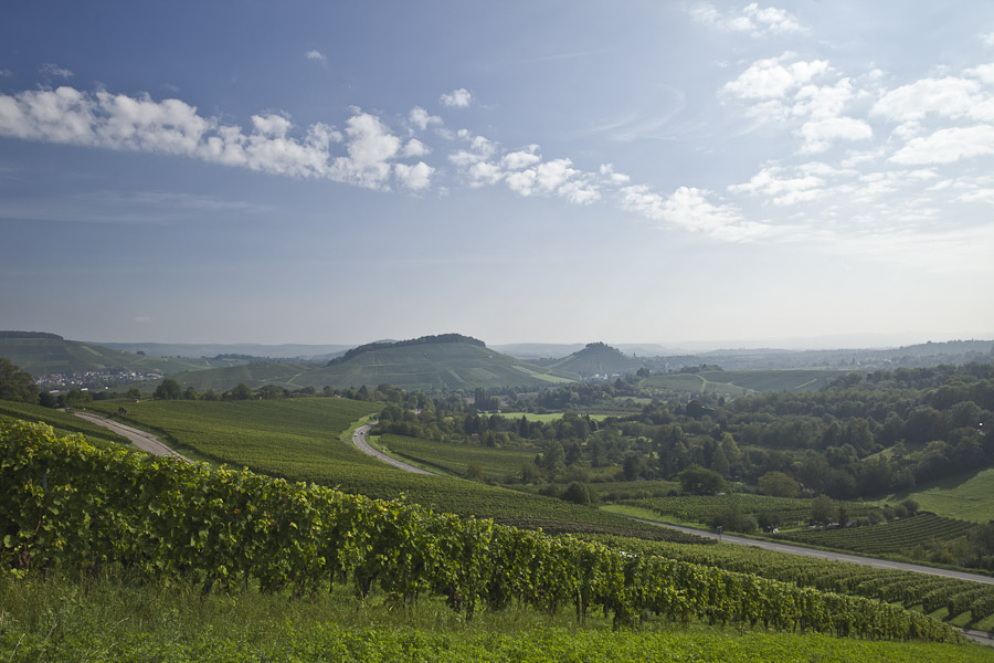 chemin panoramique du vin Wartberg bade wurtemberg